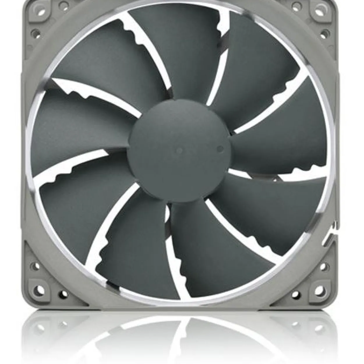 Noctua NF-P12 redux-1300 120x120x25mm 1300 U/min 19.8 dB(A) grau