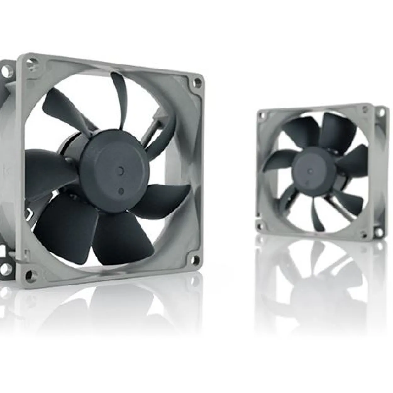 Noctua NF-R8 redux-1800 80x80x25mm 1800 U/min 17.1 dB(A) grau