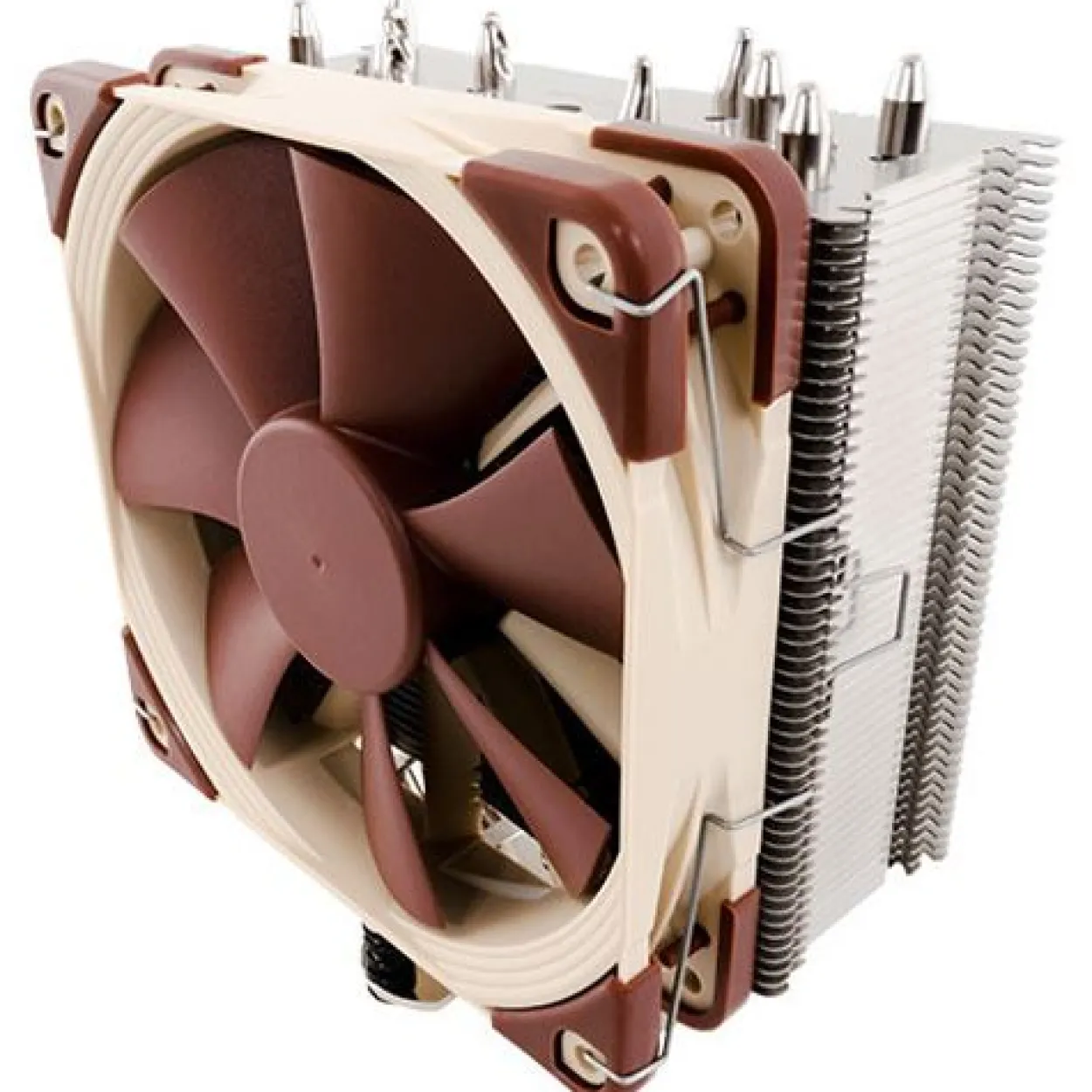 Noctua NH-U12S SE AM4 Tower Kühler