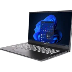 Notebook 17.3" (43,94cm) Terra MOBILE 1716R i3-1315U W11P