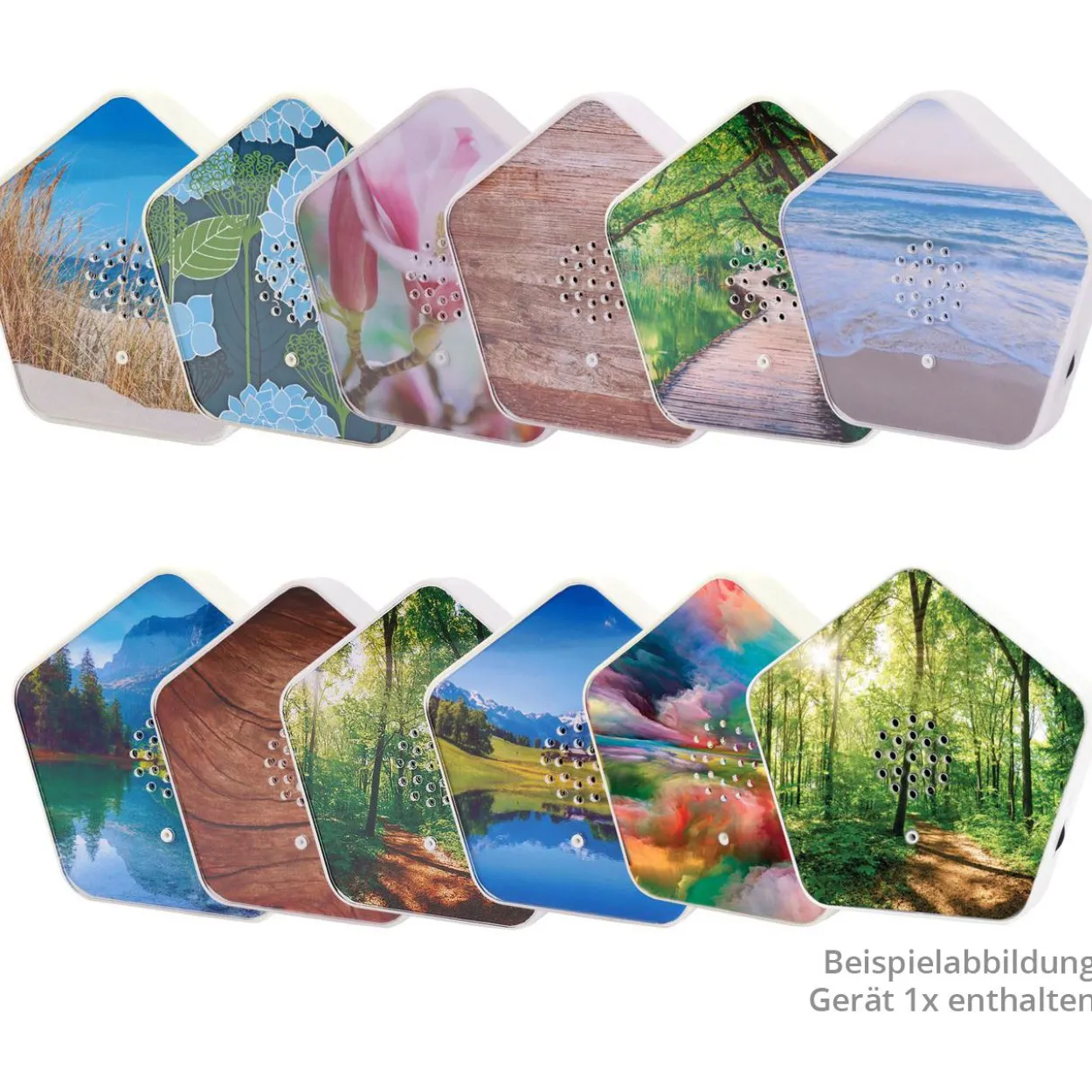 Olympia Sound of Nature Box