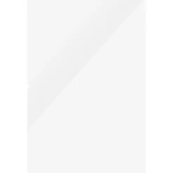 PANZERGLASS SCREEN PROTECTOR SCREEN PROTECTOR LENOVO TAB M10