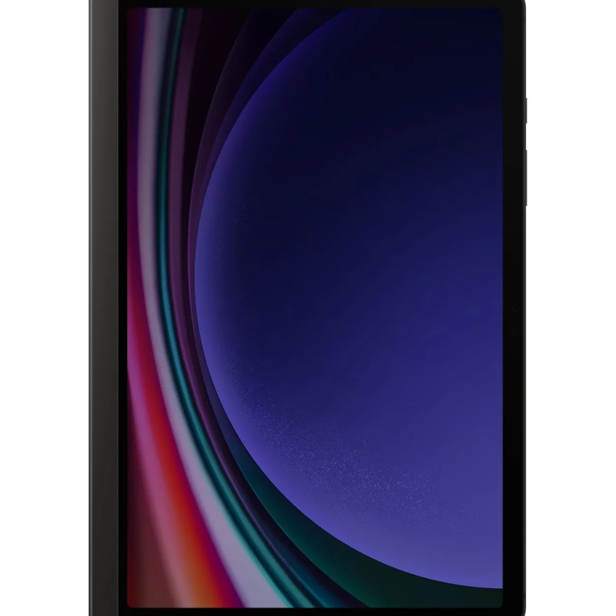 SAMSUNG Anti-Reflecting Privacy Screen für Galaxy Tab S9 Black