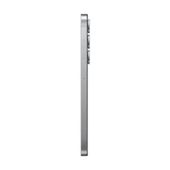 Samsung Galaxy S25 Enterprise Edition 256 GB silver shadow SM-S931BZSGEEB