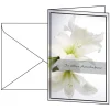 SIGEL 10 Trauerkarten weiße Amaryllis DIN A6