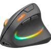 Speedlink Piavo Pro 2.4 GHz und USB schwarz (kabellos)