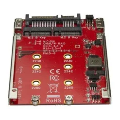 Startech DUAL M.2 zu SATA Raid Adapter
