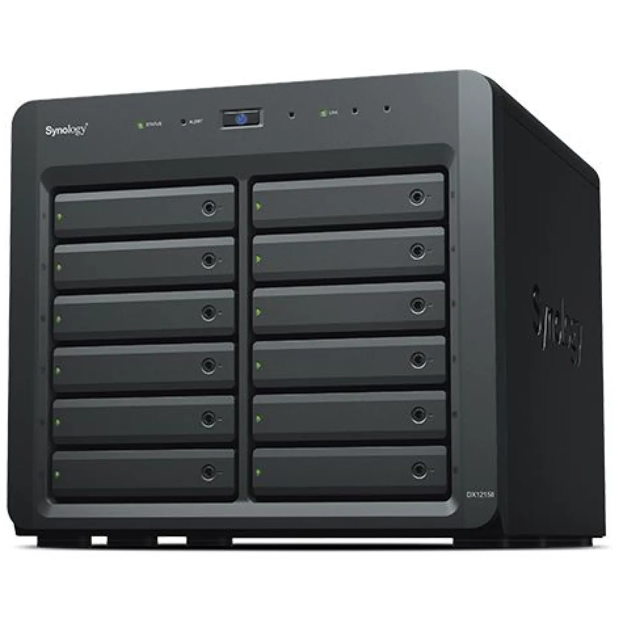 Synology DX1215II Expansion Unit für Synology DiskStation (DX1215II)