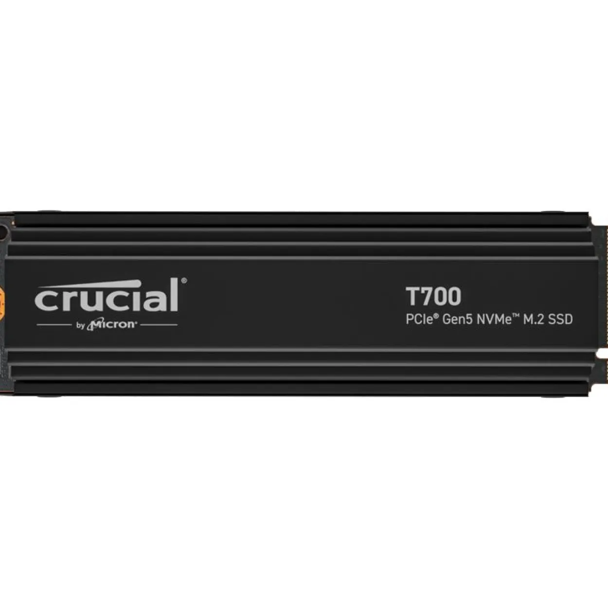1TB Crucial T700 M.2 2280 PCIe 5.0 x4 3D-NAND TLC (CT1000T700SSD5)