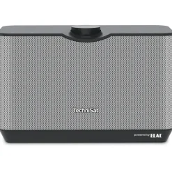 TechniSat Audiomaster MR2 60W Stereo Speaker, Kabellos, schwarz/silber